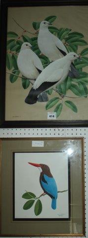 P. Castaneda Studies of birds, doves on branches and a white throated kingfisher
